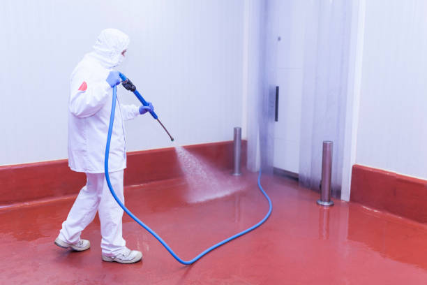  Egypt, PA Pressure Washing Pros