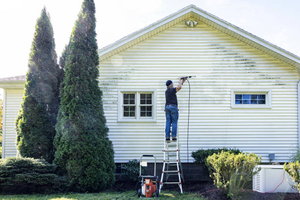 Best House Exterior Washing  in Egypt, PA